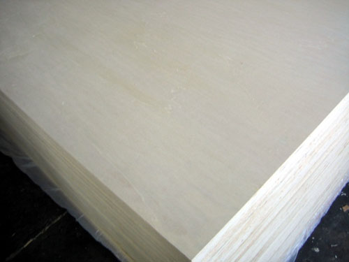 white poplar plywood