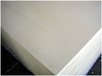 white poplar plywood