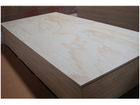 radiata pine plywood