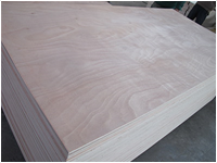 OKOUME PLYWOOD