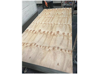 pine plywood for roof, floor and interior wall